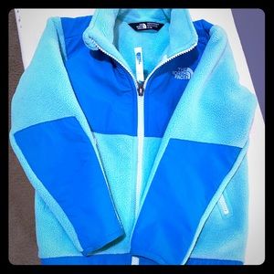 The North Face Denali Bermuda Green at Size 4